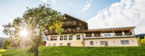 Pärchenbauernhof & Gasthof Horner in Flachau, Salzburger Land