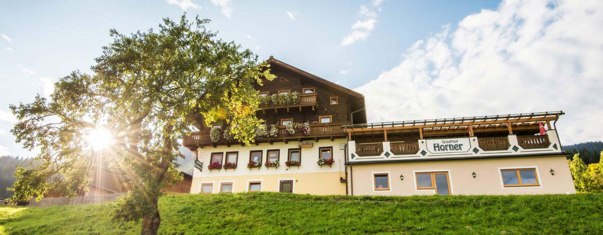 Pärchenbauernhof & Gasthof Horner in Flachau, Salzburger Land