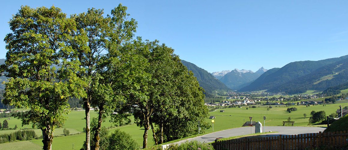 Pärchenbauernhof - Gasthof Horner in Flachau, Salzburger Land