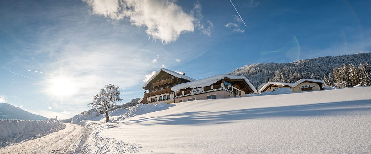 Pärchenbauernhof - Gasthof Horner in Flachau, Salzburger Land