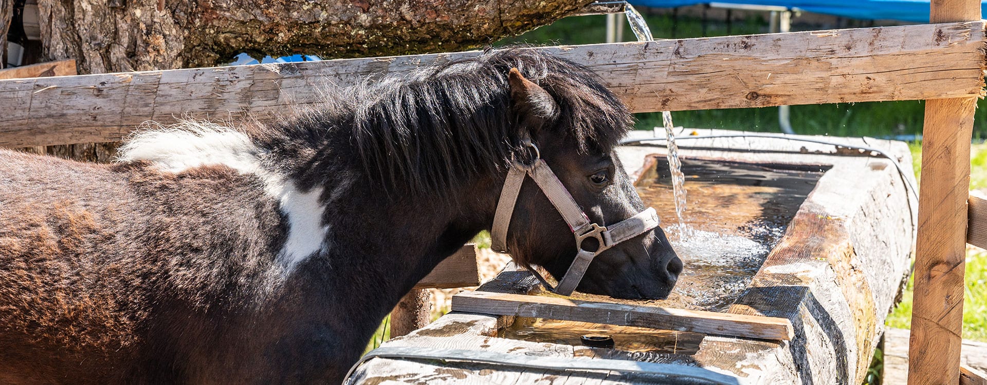 Pärchenurlaub, Sommerurlaub im Salzburger Land