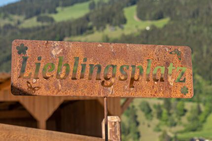 Pauschalen in Flachau, Pärchenbauernhof Horner