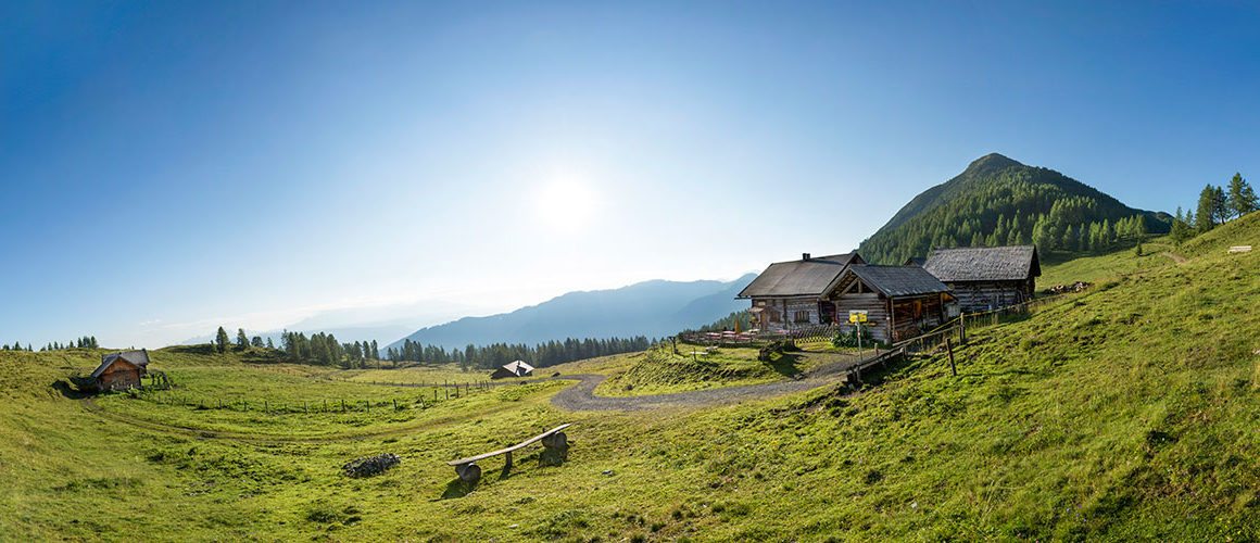 Pärchenbauernhof - Gasthof Horner in Flachau, Salzburger Land
