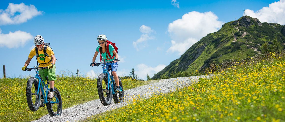 Pärchenbauernhof - Gasthof Horner in Flachau, Salzburger Land