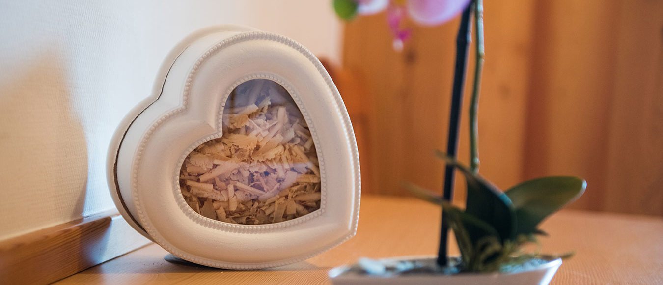 Sommer- & Winterurlaub am Pärchenbauernhof & Gasthof Horner in Flachau, Salzburg